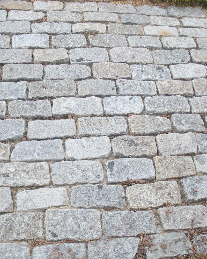 4" X 8" Salt and Pepper Granite Cobblestones